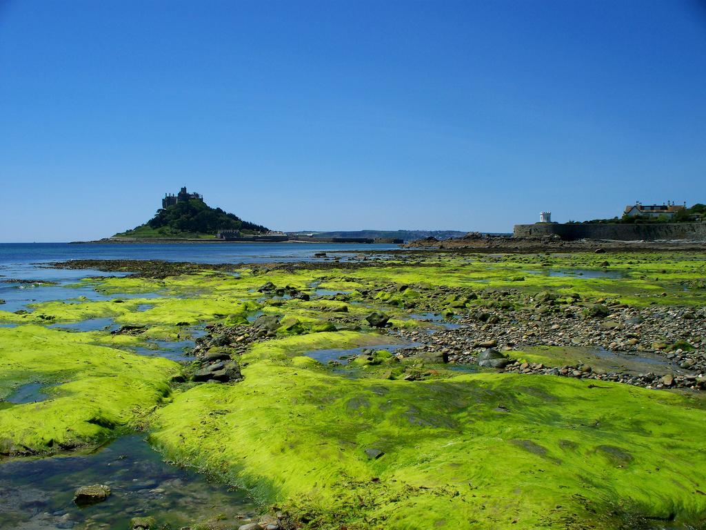 Wheal Rodney Holiday Park Marazion Chambre photo